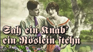 Sah ein Knab ein Röslein stehn  German Folk Song  English Subtitles [upl. by Enneyehs]