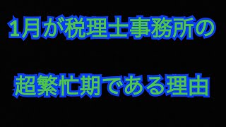 1月が税理士事務所の超繁忙期である理由 [upl. by Emmy]