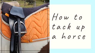 How to tack up a horse  total contact saddle  bitless [upl. by Elleval]