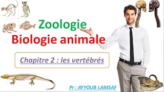 Biologie animale  zoologie chapitre  les vertébrés [upl. by Omrellug]