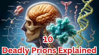 Top 10 Prions Explained Deadly Proteins You Need to Know About [upl. by Aillij]