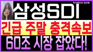 삼성SDI 주가전망 삼성SDI 목표가  ★긴급주말 충격속보 삼성SDI 60조 시장 잡았다 내일 주가 전망 필수시청 [upl. by Oetsira]