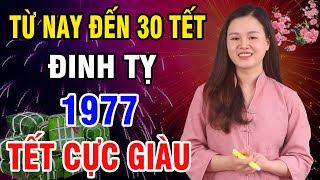 ☯ Tử Vi Tuổi ĐInh TỴ 1977 Từ Nay Đến 30 Tết Thoát Khỏi Đại Hưởng Trọn Lộc Trời Bất Ngờ Giàu To [upl. by Tebzil173]