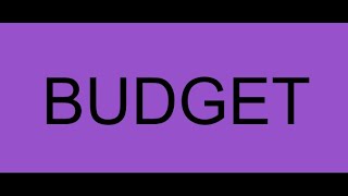 Budget Committee  November 19 2024 [upl. by Nessy441]