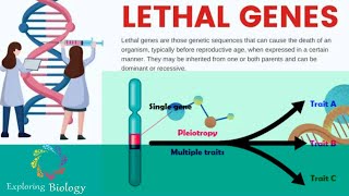 Lethal genes amp Pleiotropy Genes in Tamil [upl. by Ycnaf]