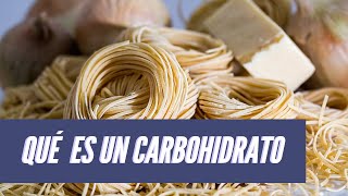 ¿Para qué sirven los carbohidratos [upl. by Gerrie859]