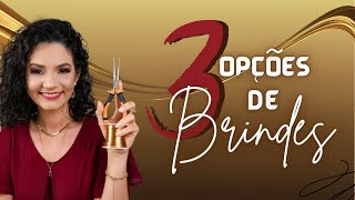 3 Opções de BRINDES para clientes [upl. by Atnes]