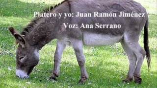 platero y yowmv [upl. by Anilocin]