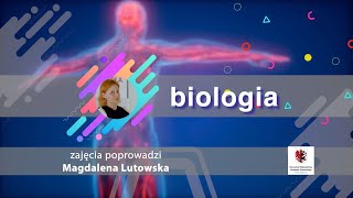 Biologia  LO  matura Techniki i narzędzia inżynierii genetycznej [upl. by Frants568]