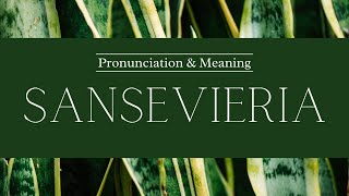 How to Pronounce Sanseviera  British Pronunciation amp Meaning [upl. by Neslund649]