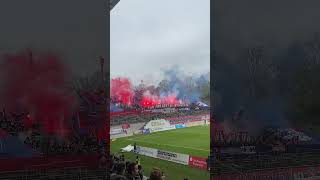 Choreo Wuppertaler SV  MSV Duisburg 🧨 wuppertalersv wuppertal msvduisburg [upl. by Furr]