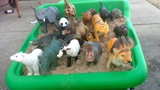 Learn Safari Wild ZOO Animals Names with Schleich And Safari Ltd TOY collectionPlaying With Sand [upl. by Akiraa324]