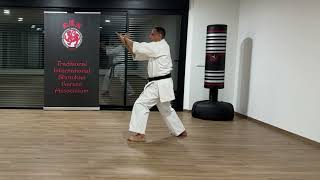 The Official Tiska Karate  6 Heian Godan Detailed Tips [upl. by Dodge]