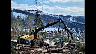 🌲 WFW Ecolog 580F amp Ritter DeutzFahr Agrotron M600 • Harvester in Action • Ritter Winchwork 🌲 [upl. by Doownil]