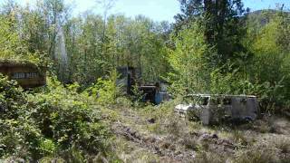 Property Full of Abandoned Logging Equipment [upl. by Kaela905]