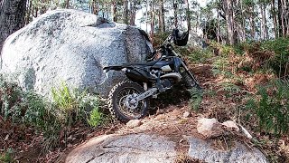 Cobaw state forest  single trail te300i  te300i 2stroke singletrail dirtbike ktm husqvarna [upl. by Temple]