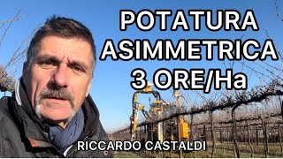 Vite Potatura meccanica asimmetrica 3 oreHa [upl. by Nyrmac644]