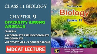 CRITERIA FOR ANIMAL CLASSIFICATION MDCAT COELOMPROTOSTOMES AND DEUTEROSTOMES FEDERAL BIOLOGY [upl. by Boffa990]