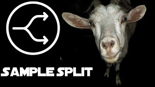 How To SAMPLE Like A FCKING GOAT SAMPLE SPLIT [upl. by Burnight]