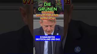 💥BEWEIS💥 AfD Politiker deckt teuflischen Plan DER GRÜNEN auf ⚡️ afd diegrünen ampelmussweg spd [upl. by Ellessig579]