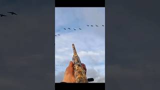 James bay late season hunting goose hunting in June 2024 goosehunt birdhunting goose goosehunt [upl. by Aihsotan754]