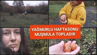 YAĞMURLU HAFTASONU  MUŞMULA TOPLADIK  KÖYDEYİZ  HAFTASONU VLOG [upl. by Kelcy664]