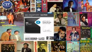 TEJANO MUSIC MIX ROY MONTELONGOLATIN BREED ETC [upl. by Olegnaleahcim]