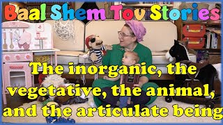 Baal Shem Tov Stories for kids  8 The inorganic vegetative animal and articulate beingChassidus [upl. by Lilak137]