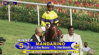 MANDARINO with L Alex Rozario up wins The Cubic Mysore Derby Gr1 2024 RACE 102 [upl. by Anivlac]