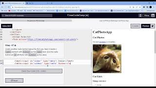 Learn HTML by Building a Cat Photo App Step  47  freeCodeCamp [upl. by Yanal]