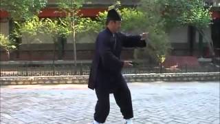 WUDANG TaiChi 36 Forms by Wudang Master CHEN LISHENG [upl. by Onitsuj]