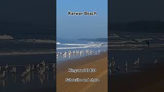 Karwar Beach beach beachbeauty karwar karwarbeach tourism tourist touristplace tour nature [upl. by Kerwon]