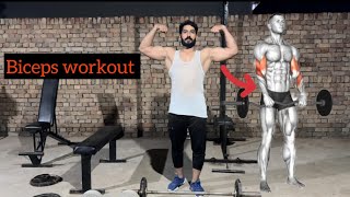 Super Pump Biceps Workout  At Home Workout [upl. by Dawna]