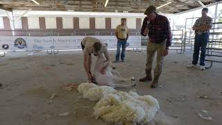 The Sheep Games Cammy Wilson Shearing Demo at the North American Hill Sheep Show [upl. by Nylzor785]