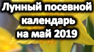 Лунный посевной календарь на май 2019 года Когда и что сажать в мае 2019 Возьмите на заметку [upl. by Dorcus]