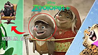 MR BIGS ORIGIN STORY BREAKDOWN  DISNEY ZOOTOPIA SERIES 2022 [upl. by Marianna]