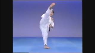 Perfect Mawashi Geri Round house Kick in Kyokushin Karate [upl. by Martita]