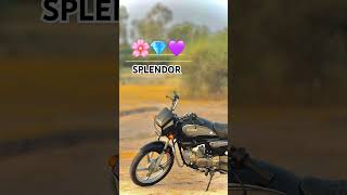 shortvideo splendora trending hitsong splendorslovers splendorslovers popularsong [upl. by Nagem]