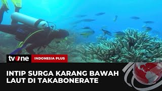 Pesona Keindahan Wisata Bahari di Takabonerate  Indonesia Plus tvOne [upl. by Brittain450]