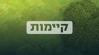 הכירו את Leadax Roov [upl. by Alleoj]