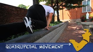 Parkour From Scratch 5  Quadrupedal Movement Tutorial  How to start Parkour [upl. by Ssidnak]