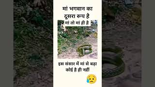 मां भगवान का दूसरा रूप हैfunny comedy maa share trend trending duet travel youtube facts [upl. by Asserrac]