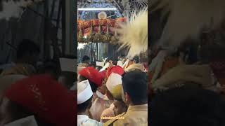 Narshinhji No Varghodo 2024 Vadodara Tulsi Vivah tulsivivah tulsivivahspecial vadodara viral [upl. by Anecusa677]