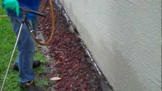 Tampa Subterranean Termite Treatment 5 yr Warranty Using Termidor Termiticide [upl. by Nryhtak427]