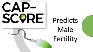 CapScore™ predicts probability of generating pregnancy PGP [upl. by Allicsirp]