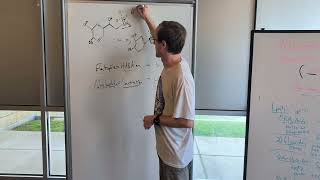 Nucleophile and Electrophile Substitutions [upl. by Abshier]