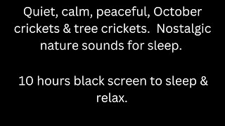 Quiet calm peaceful October crickets amp tree crickets black screen sleep relax 10 hour cricket sound [upl. by Morrell]