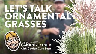 Lets Talk Ornamental Grasses 🌾 Garden Guru Sean at The Gardeners Center [upl. by Alyhs]