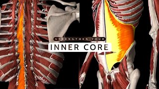 Condition Your Inner Core for a Healthy Microbiome and Flat Abs [upl. by Fatima]