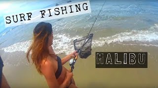 Surf Fishing  Malibu We Follow Rivers [upl. by Nonnaihr]